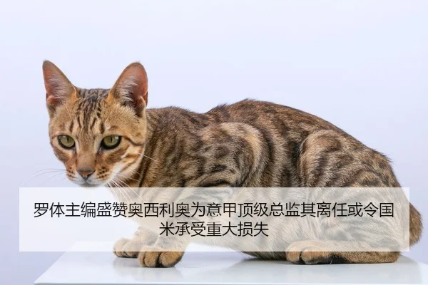 罗体主编盛赞奥西利奥为意甲顶级总监其离任或令国米承受重大损失